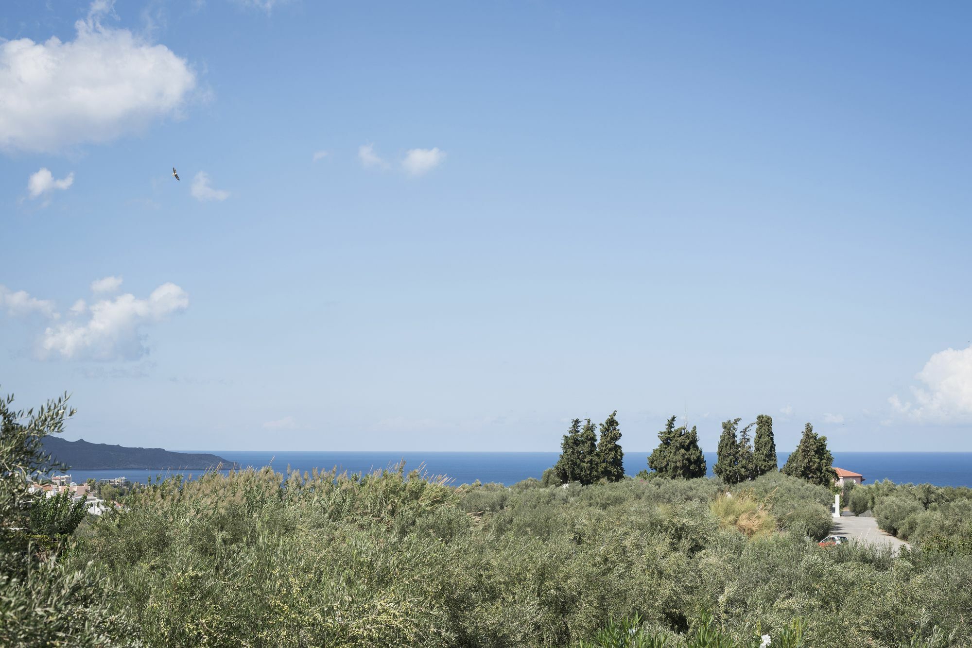 Orionas Village Kato Daratso Exteriér fotografie